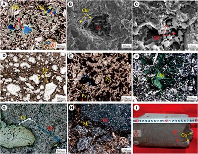 Classification, identification, and reservoir characteristics of intermediate mafic lava flows: a case study in Dongling area, Songliao Basin